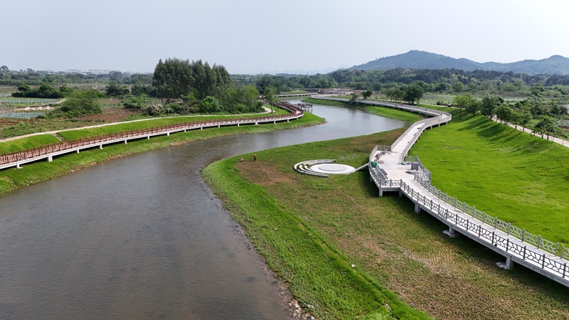 實干當(dāng)“夏”丨廣西工程咨詢集團扎實開展漓江生態(tài)修復(fù)全咨項目評估驗收